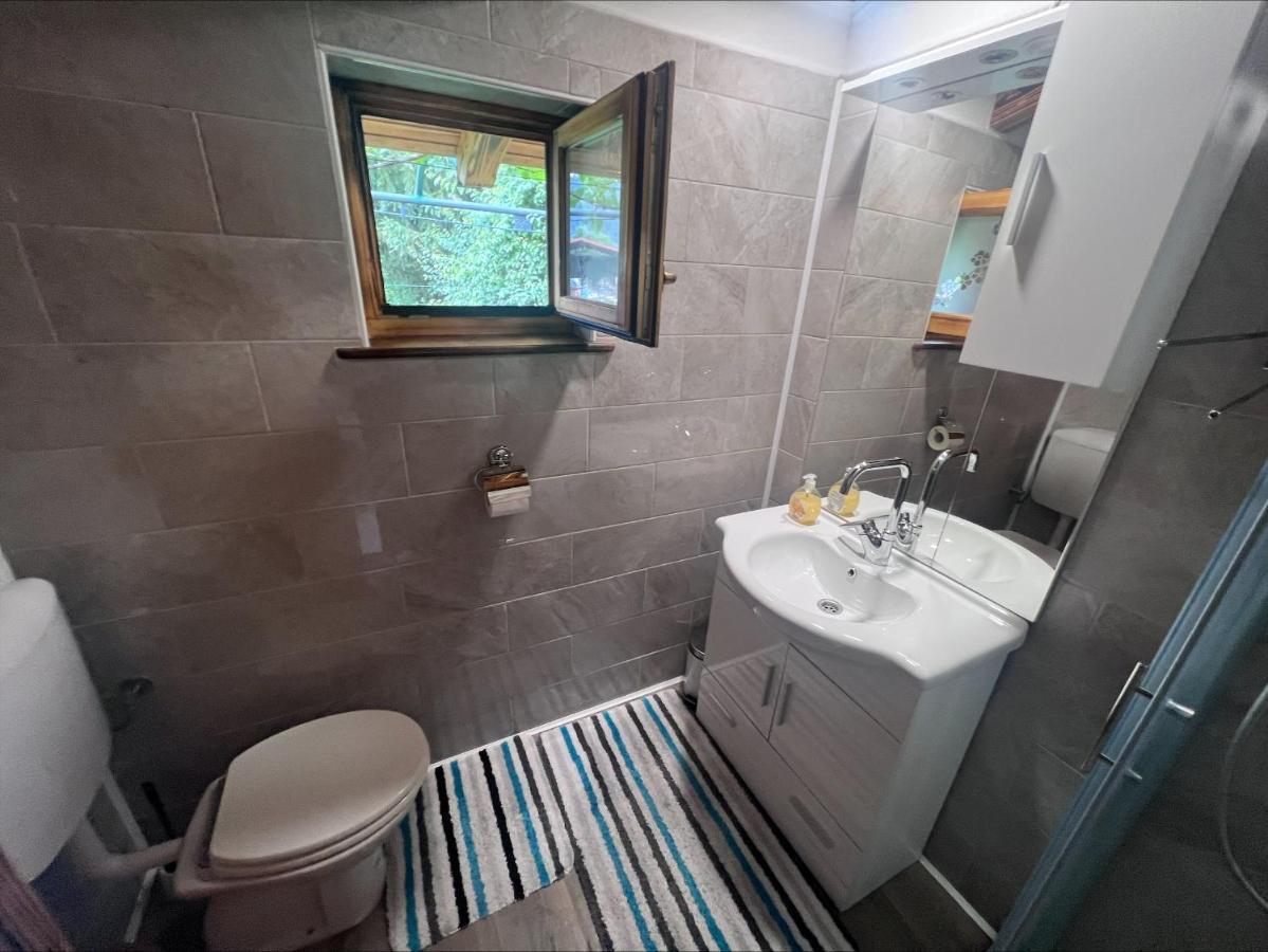 Domacija Paternoster Hotel Litija Buitenkant foto